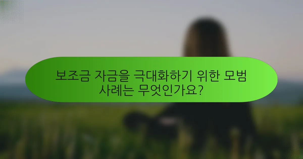 보조금 자금을 극대화하기 위한 모범 사례는 무엇인가요?