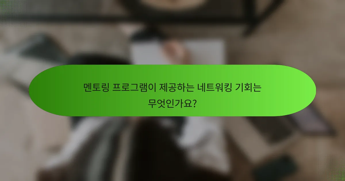 멘토링 프로그램이 제공하는 네트워킹 기회는 무엇인가요?